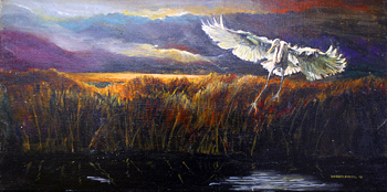 BytheEgretLight 350x174