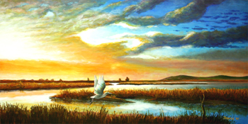 MorningTide 350x175