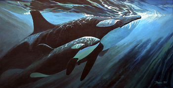 OrcaMadonna 350x178