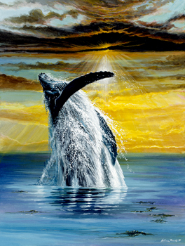 SummerVision 264x350
